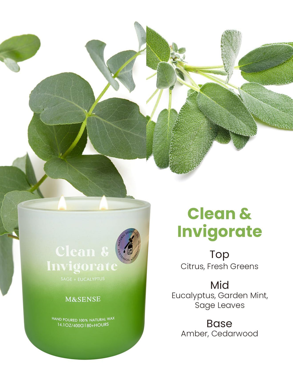 Packaging for M&SENSE Sage Eucalyptus candle in recycled box