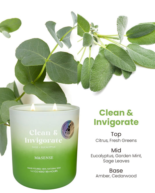 Packaging for M&SENSE Sage Eucalyptus candle in recycled box
