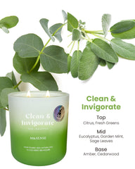 Packaging for M&SENSE Sage Eucalyptus candle in recycled box