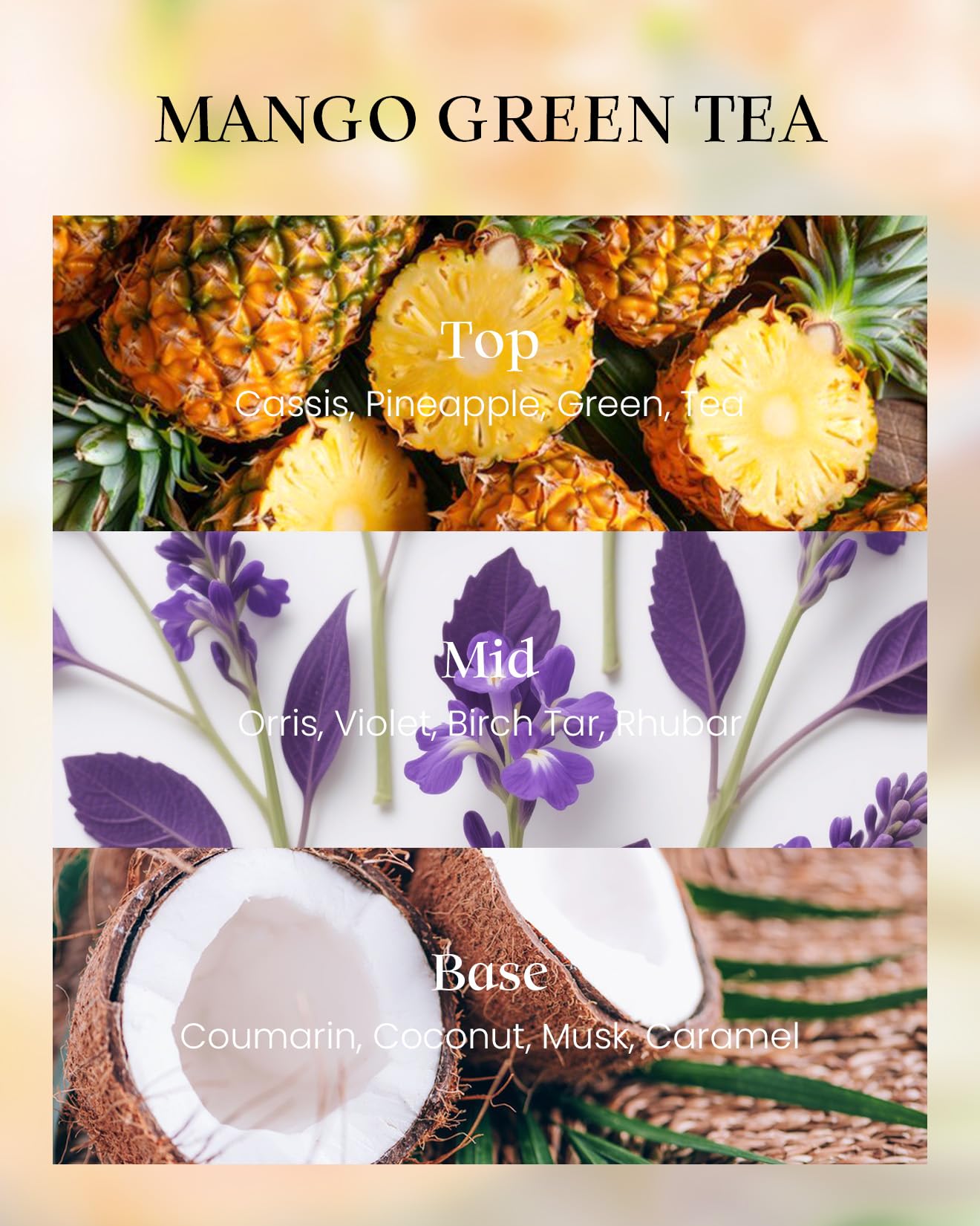 M&SENSE Mango Green Tea candle packaging and branding
