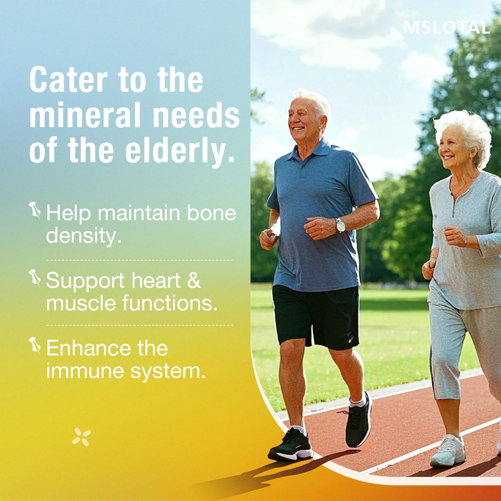 Graphic of ingredients including calcium, magnesium, zinc, and vitamins