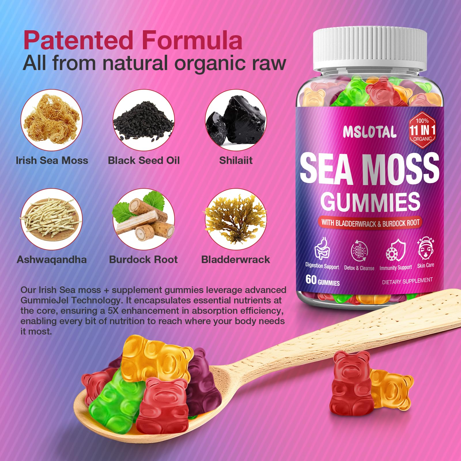 Flat lay of ingredients: Irish sea moss, bladderwrack and burdock root
