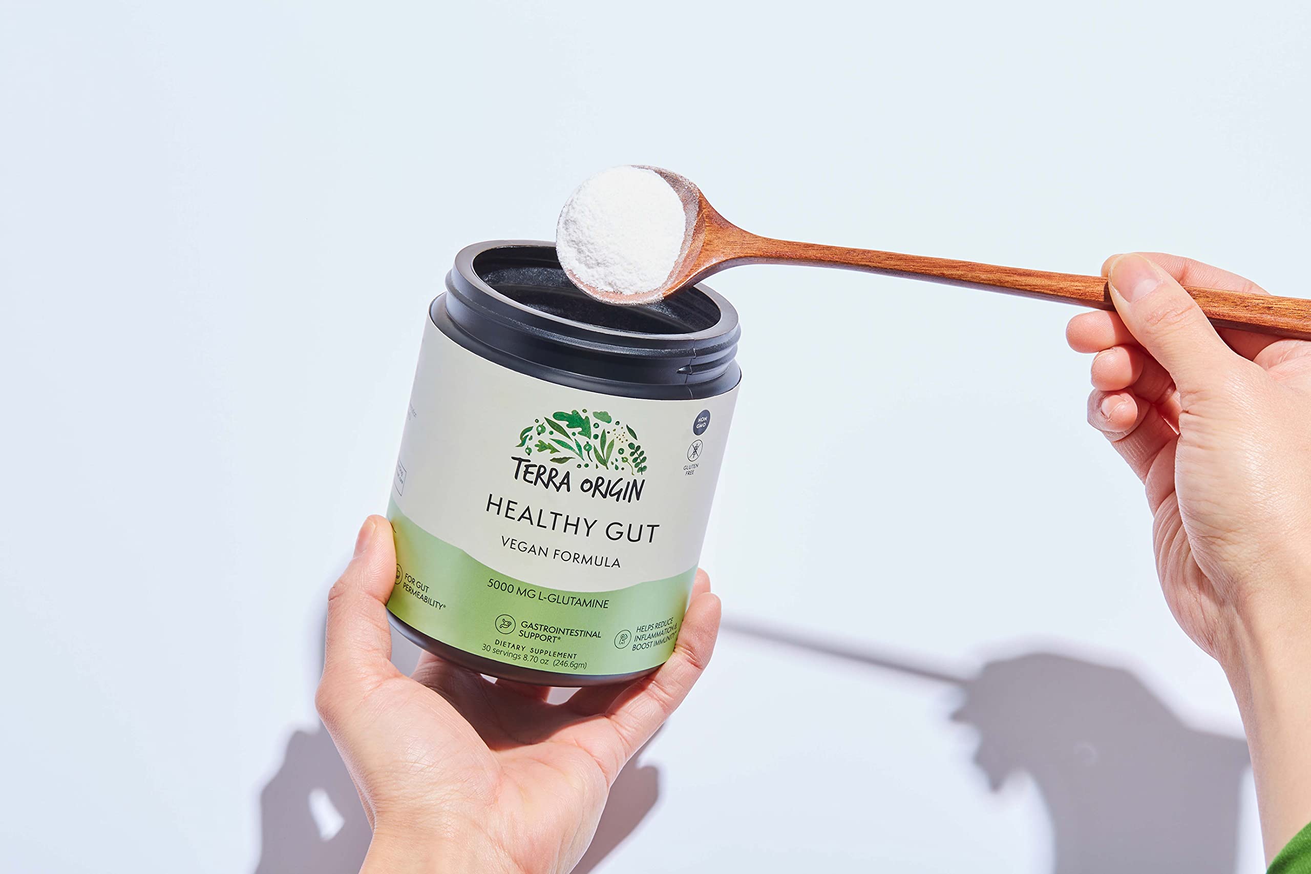 MSM and gut health ingredients close-up