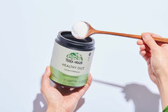MSM and gut health ingredients close-up
