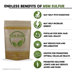 Detox and immune support concept with MSM supplement