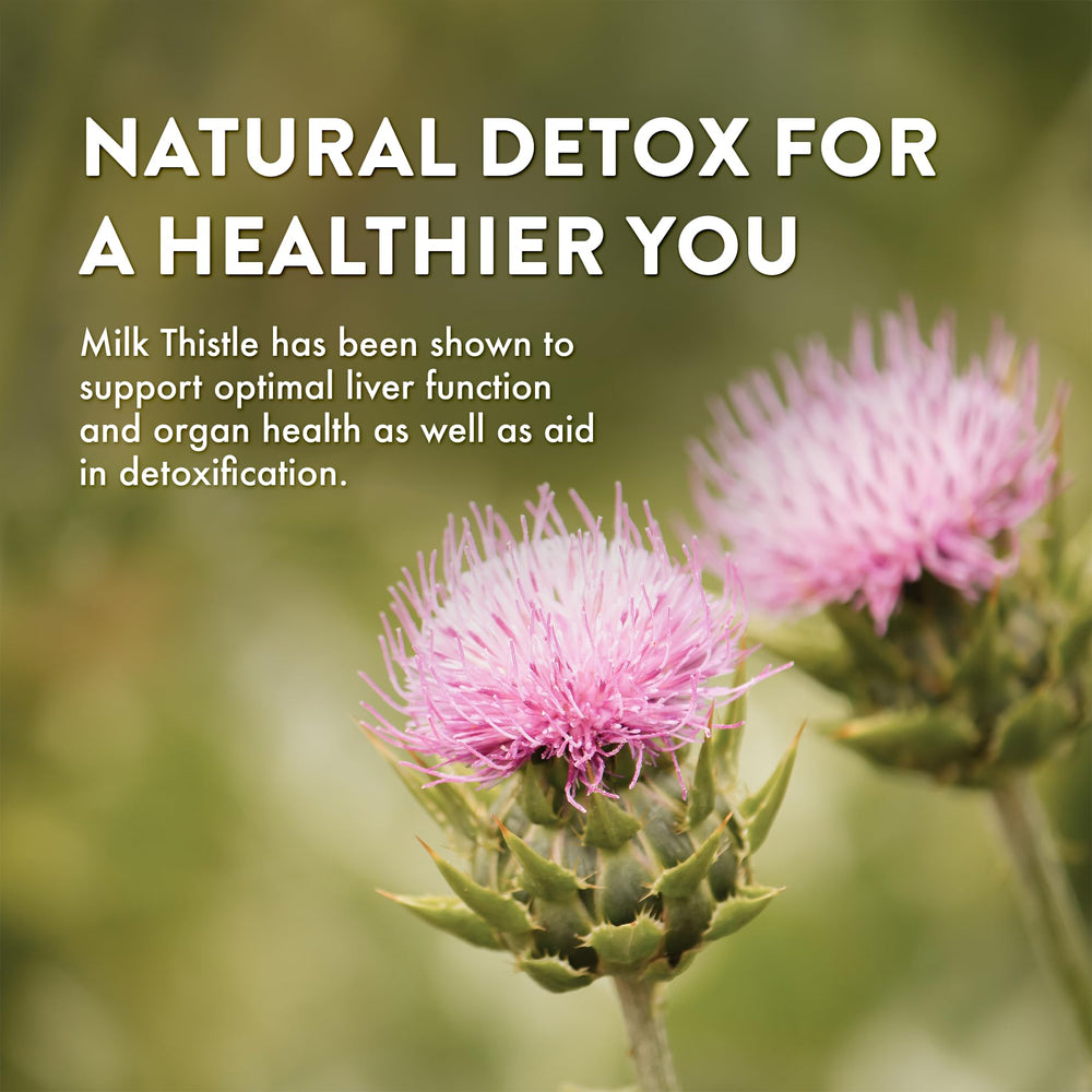 Front view of Mt. Angel Milk Thistle bottle label
