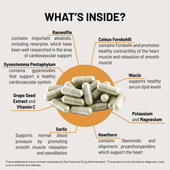 RaUwolfia plant extract in Mountain Peak HTN supplement
