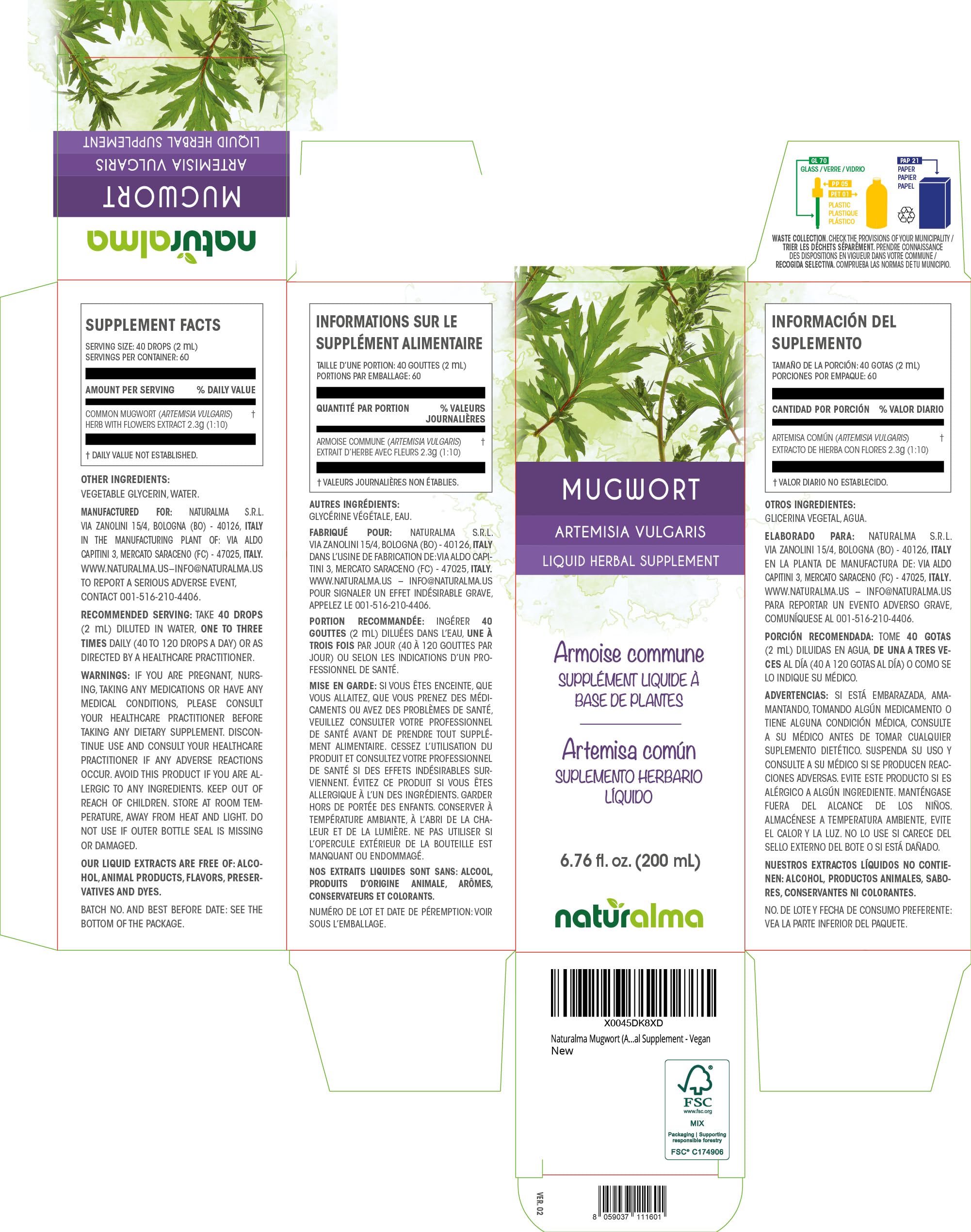Artemisia vulgaris mugwort herb with flowers liquid extract