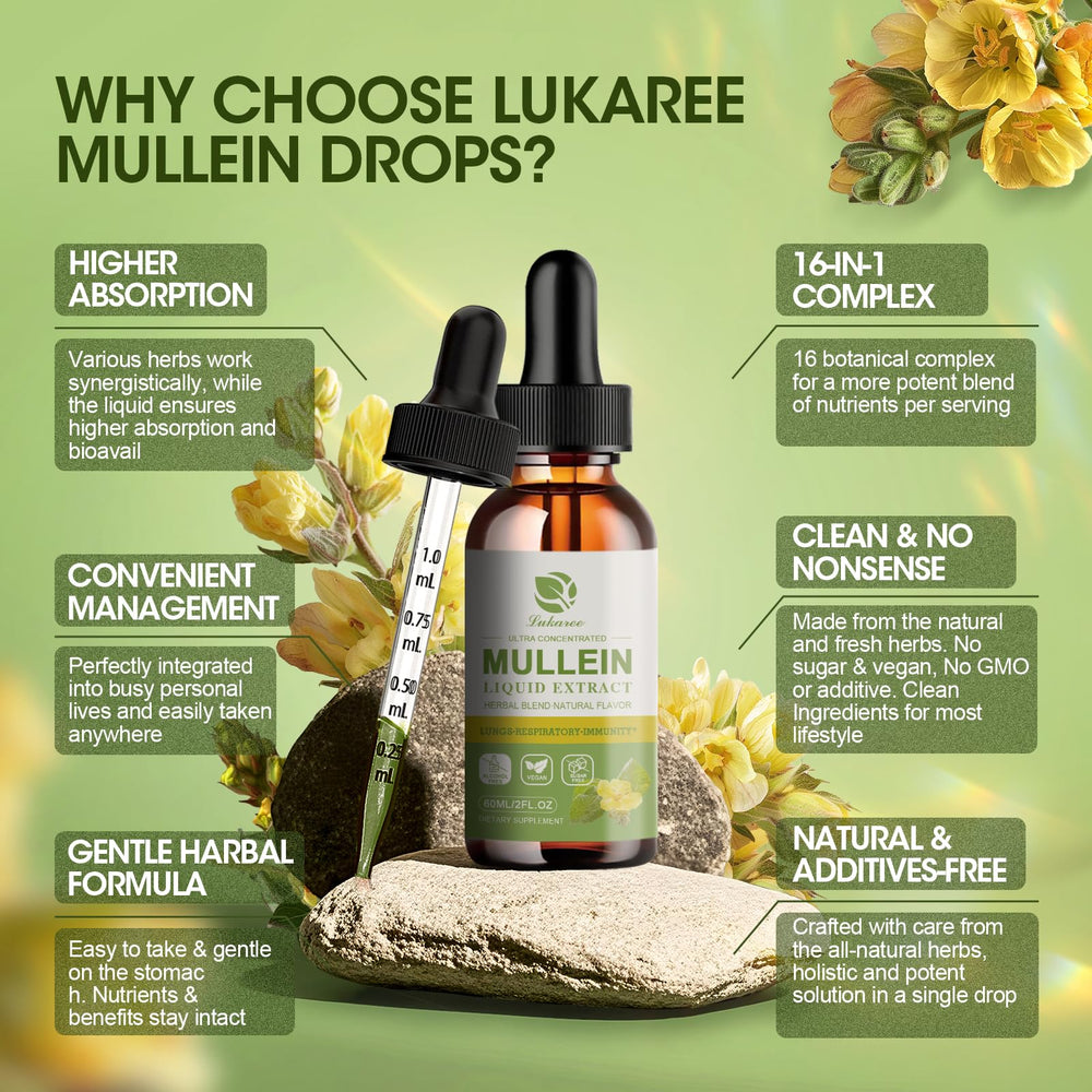 Daily usage of mullein drops for lung health