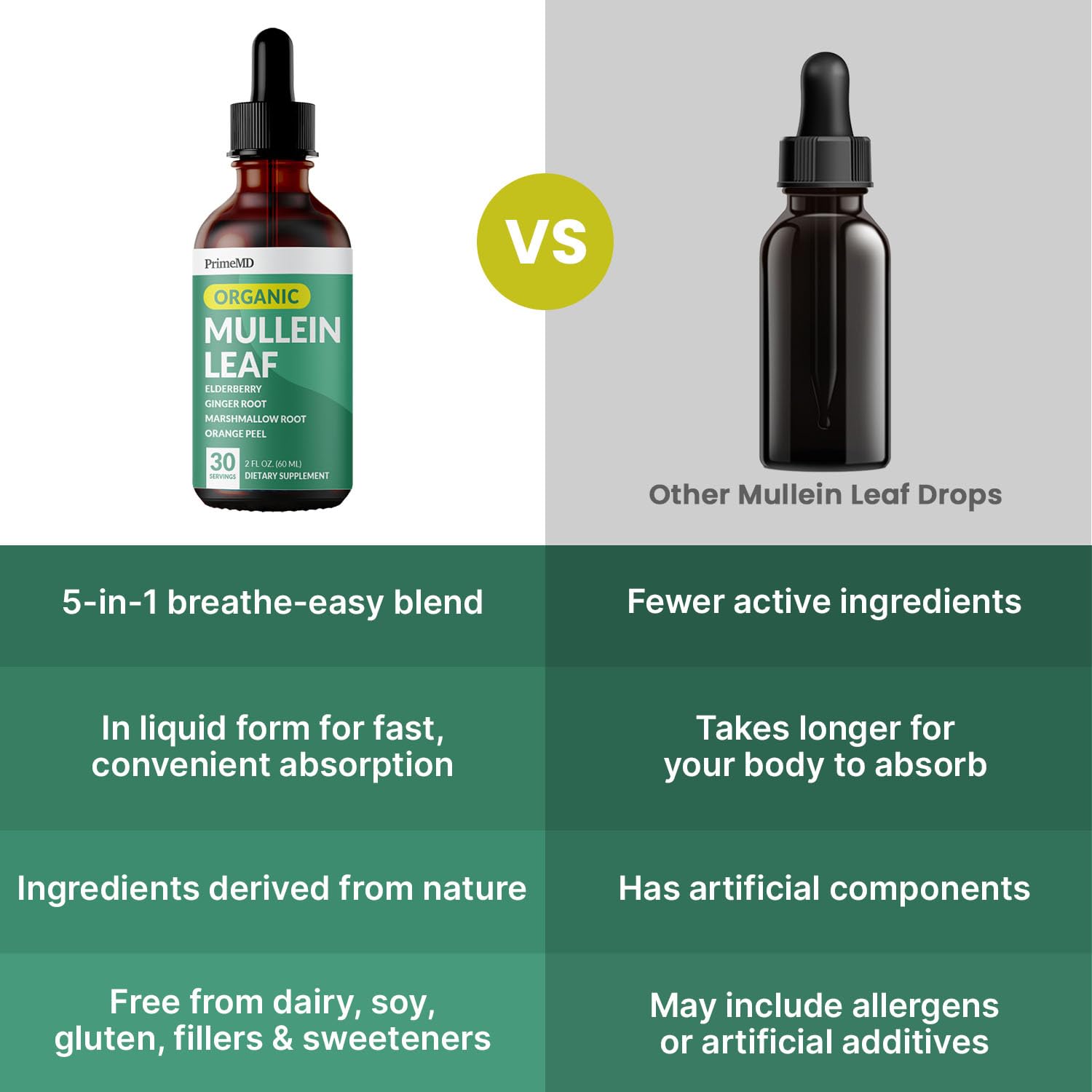 Echinacea flowers and leaves