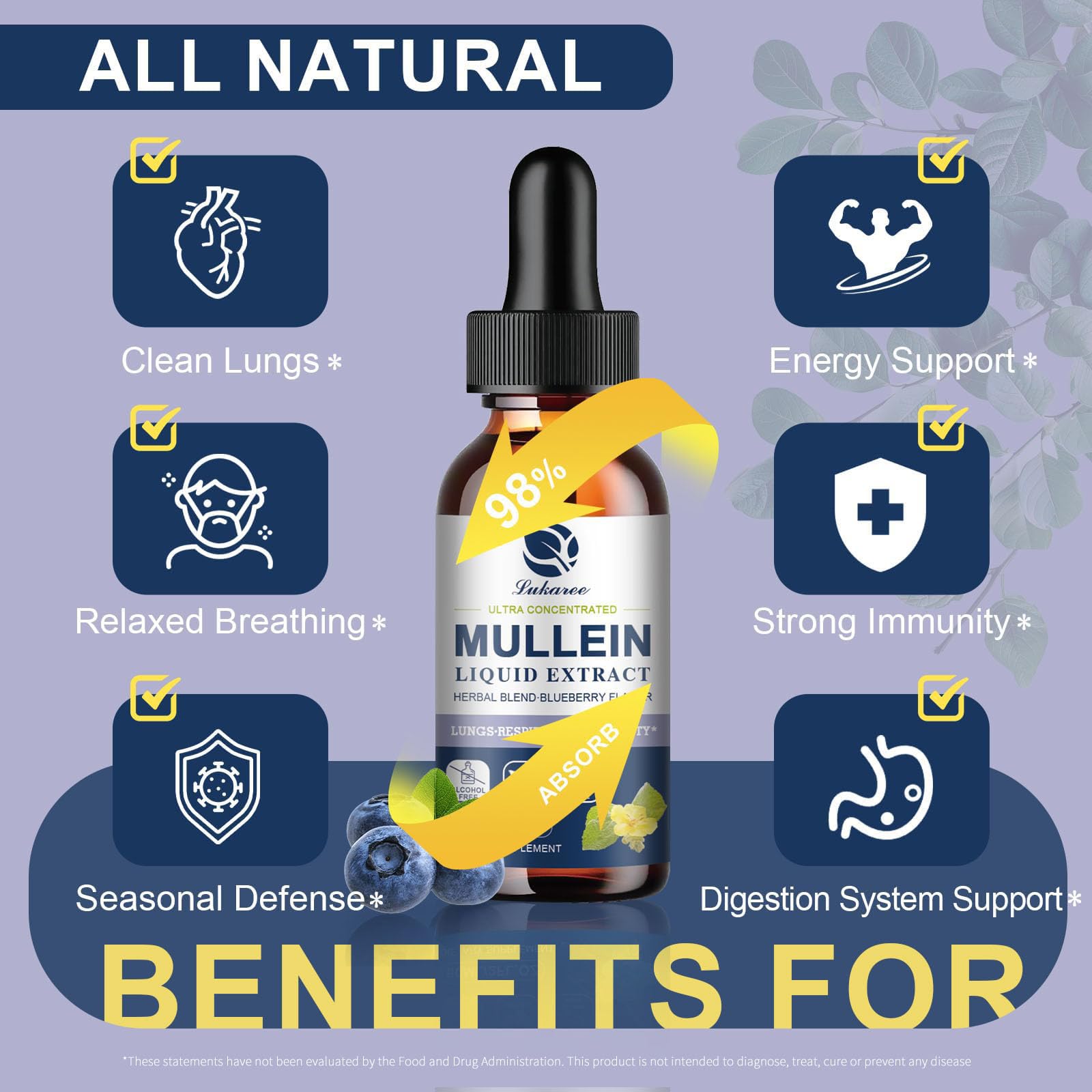 Herbal blend for respiratory support and immune health