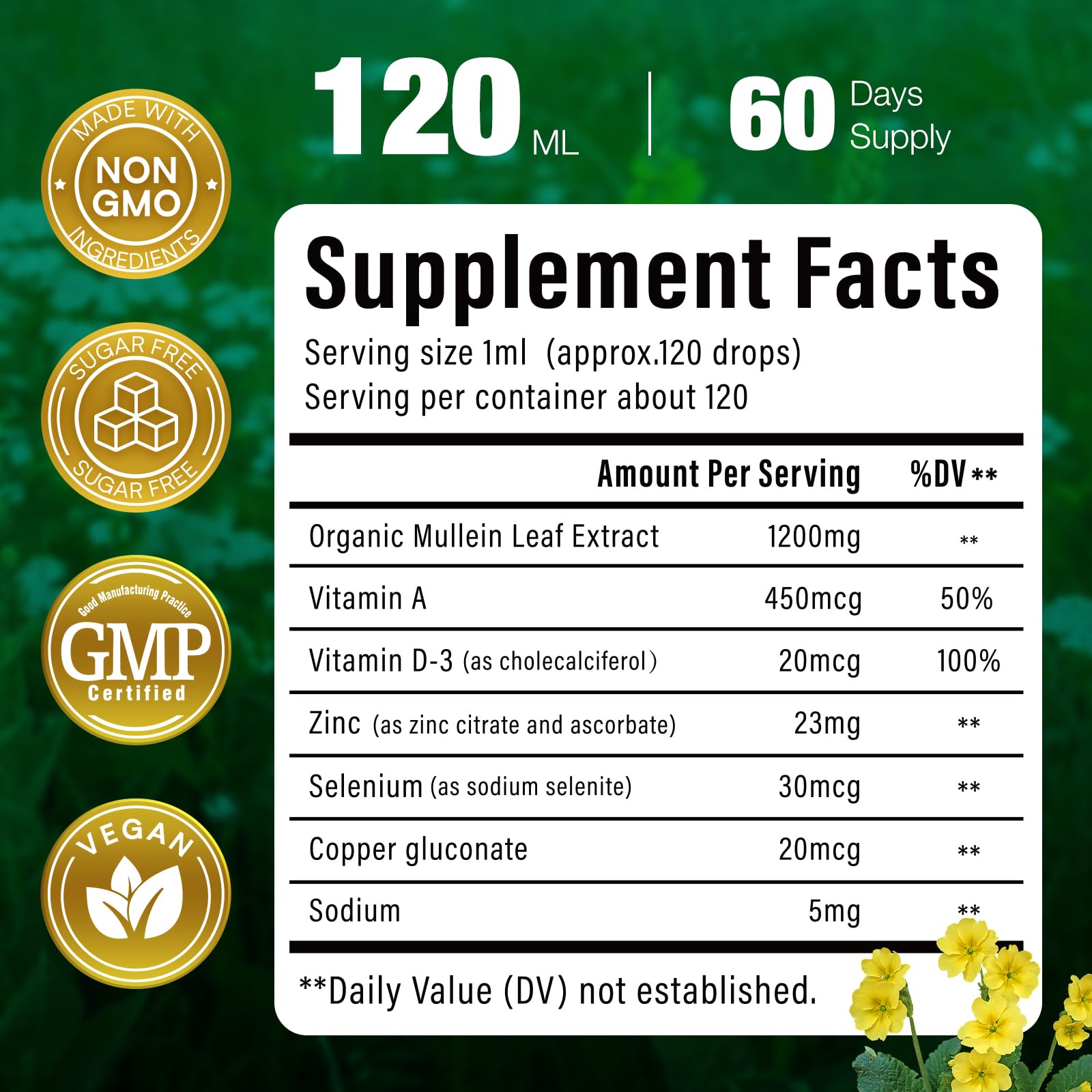 Illustration of organic mullein leaf used for lung health