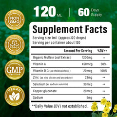 Illustration of organic mullein leaf used for lung health