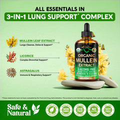 Packaging box for mullein drops supplement