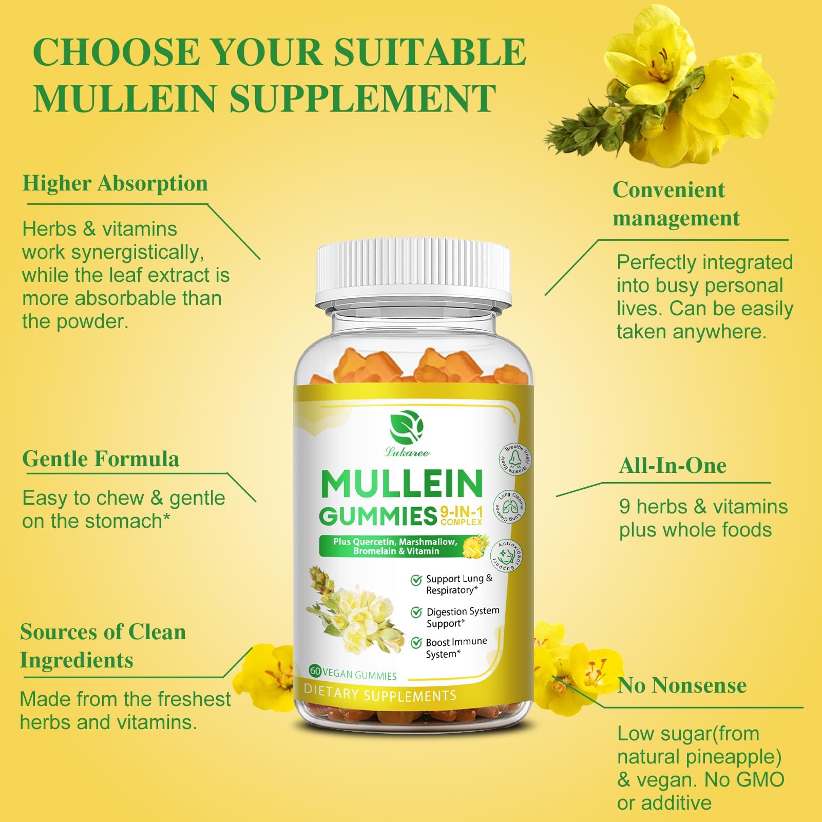 Close-up of Mullein Gummies ingredients highlight, 9-in-1 formula