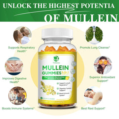 Gummy ingredients include mullein leaf extract, pine bark, elderberry, marshmallow