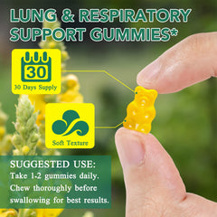Lifestyle scene featuring healthy living and mullein gummies