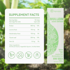 Close-up of diffuser ingredients: marshmallow root, licorice root, thyme and mint