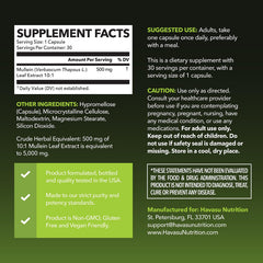 Close-up of mullein leaf extract 10:1 showing 5000mg per serving