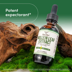 Close-up of Mullein Leaf Extract ingredients
