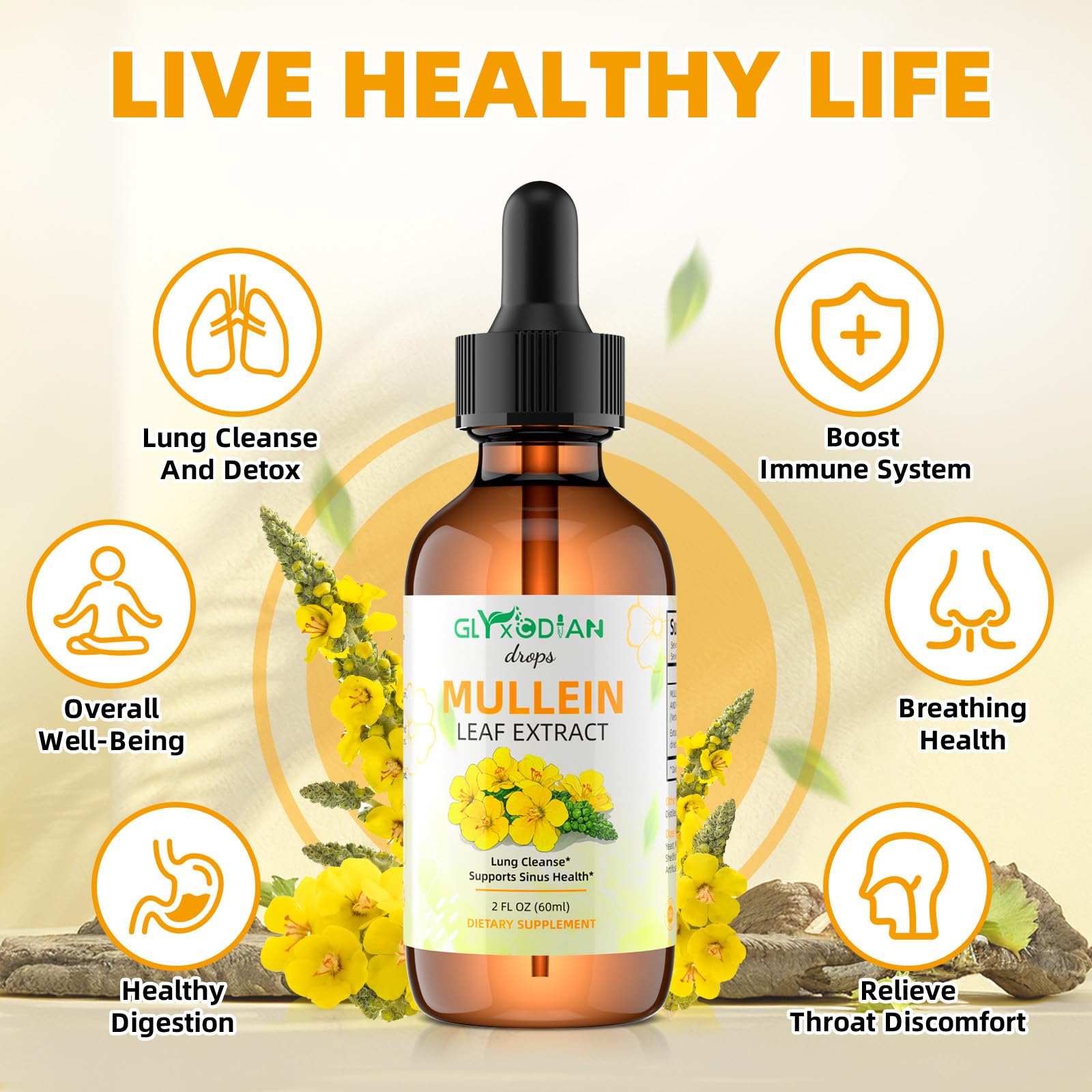 Dropper bottle showing liquid Mullein Leaf Extract - 1200mg