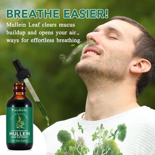 Mullein leaf extract for lung health
