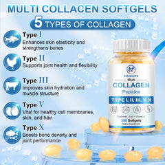 Illustration of skin, hair, and nails benefiting from collagen