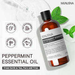 Peppermint leaves used for steam-distillation