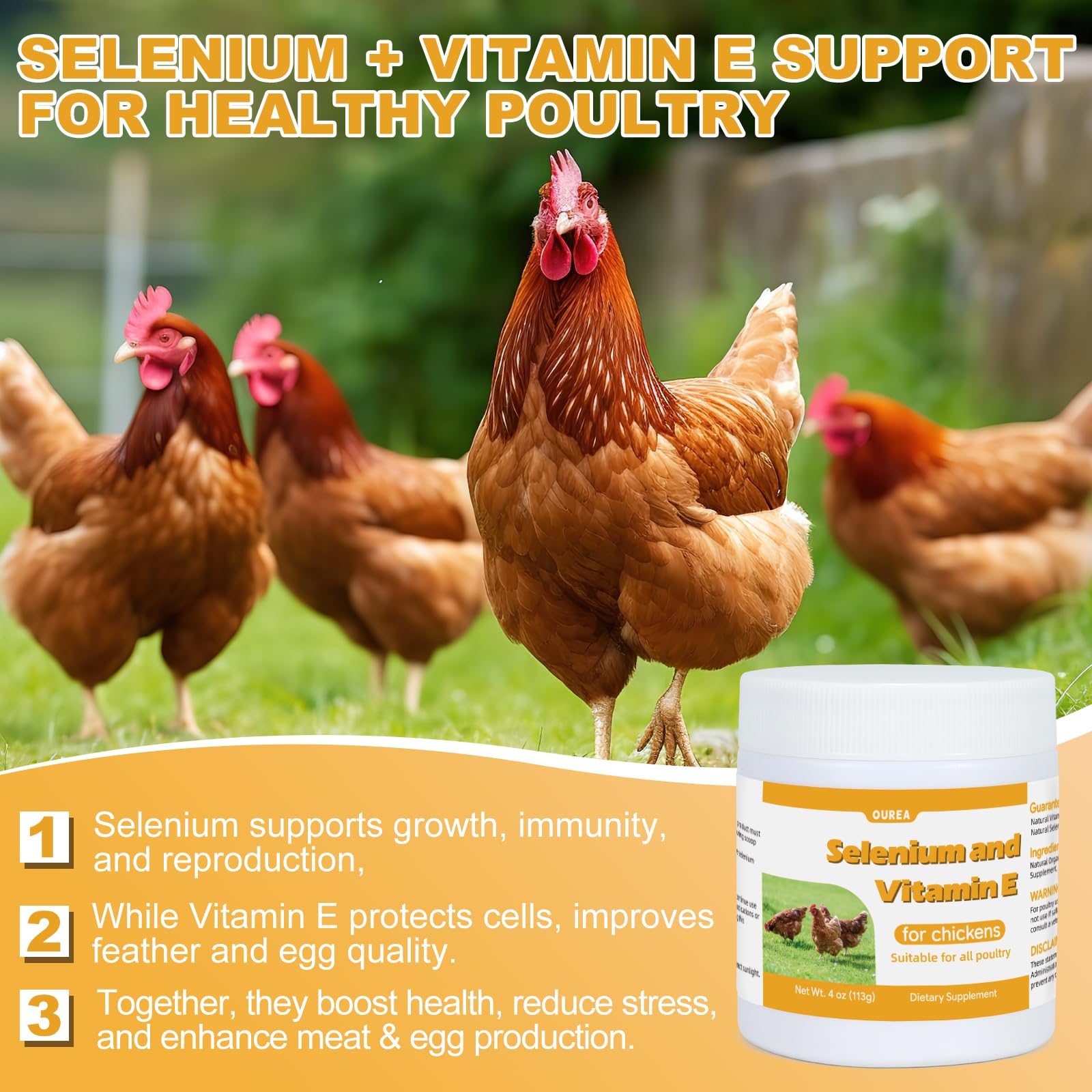 Poultry showing improved muscle function and recovery with selenium & vitamin E