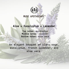 Close-up of Muse Apothecary Room Ritual 2-pack packaging and bottles