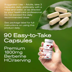 Active adult enjoying energy and wellness with MuseBeam