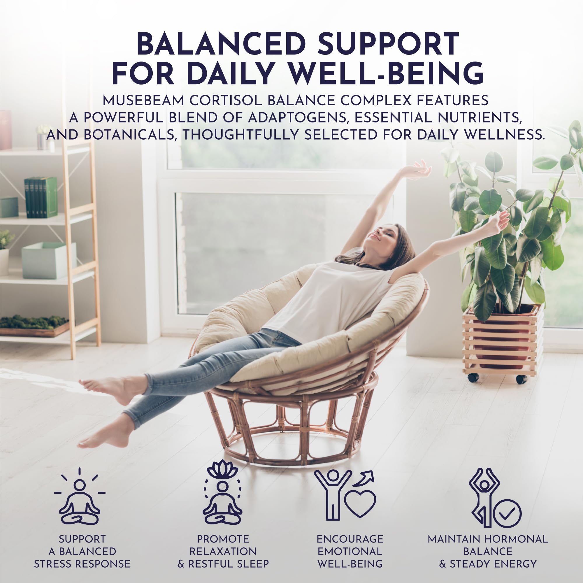 Ingredients display for MuseBeam Cortisol Detox