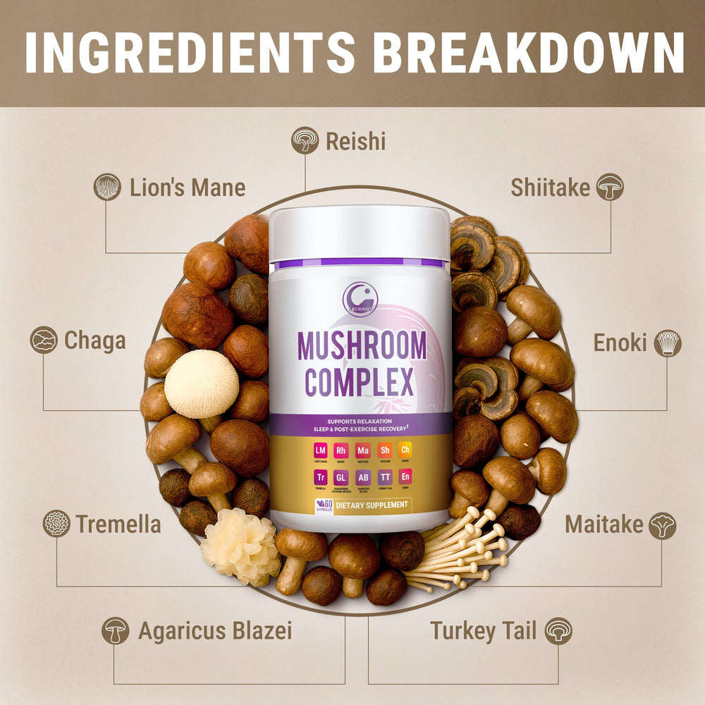 Mushroom blend ingredients including lion's mane, reishi, chaga, and turkey tail