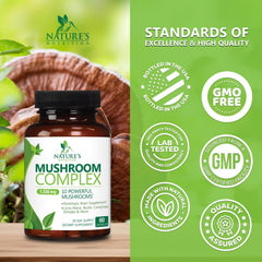 Reishi mushroom included in the 10 in 1 brain nootropic complex
