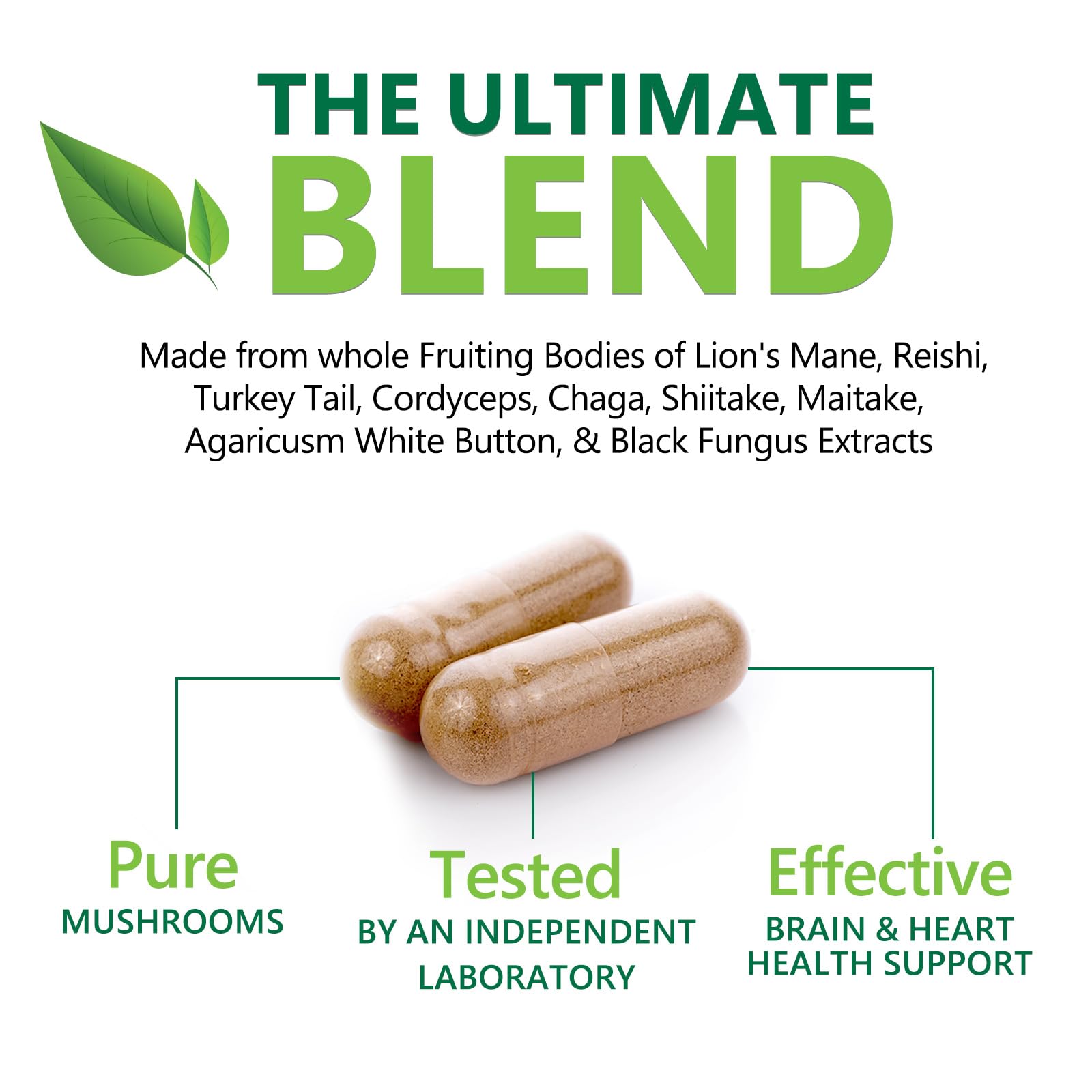 Chaga mushroom in the mushroom brain supplement blend
