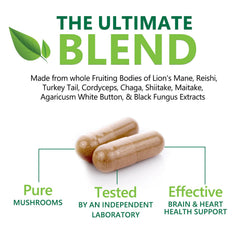 Chaga mushroom in the mushroom brain supplement blend