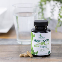Graphic illustrating focus and memory support from mushroom supplement