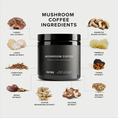 Lion's Mane mushroom illustration for the blend