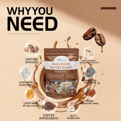 Illustration of six mushroom ingredients: Lion's Mane, Cordyceps, Turkey Tail, Reishi, Shiitake, King Trumpet