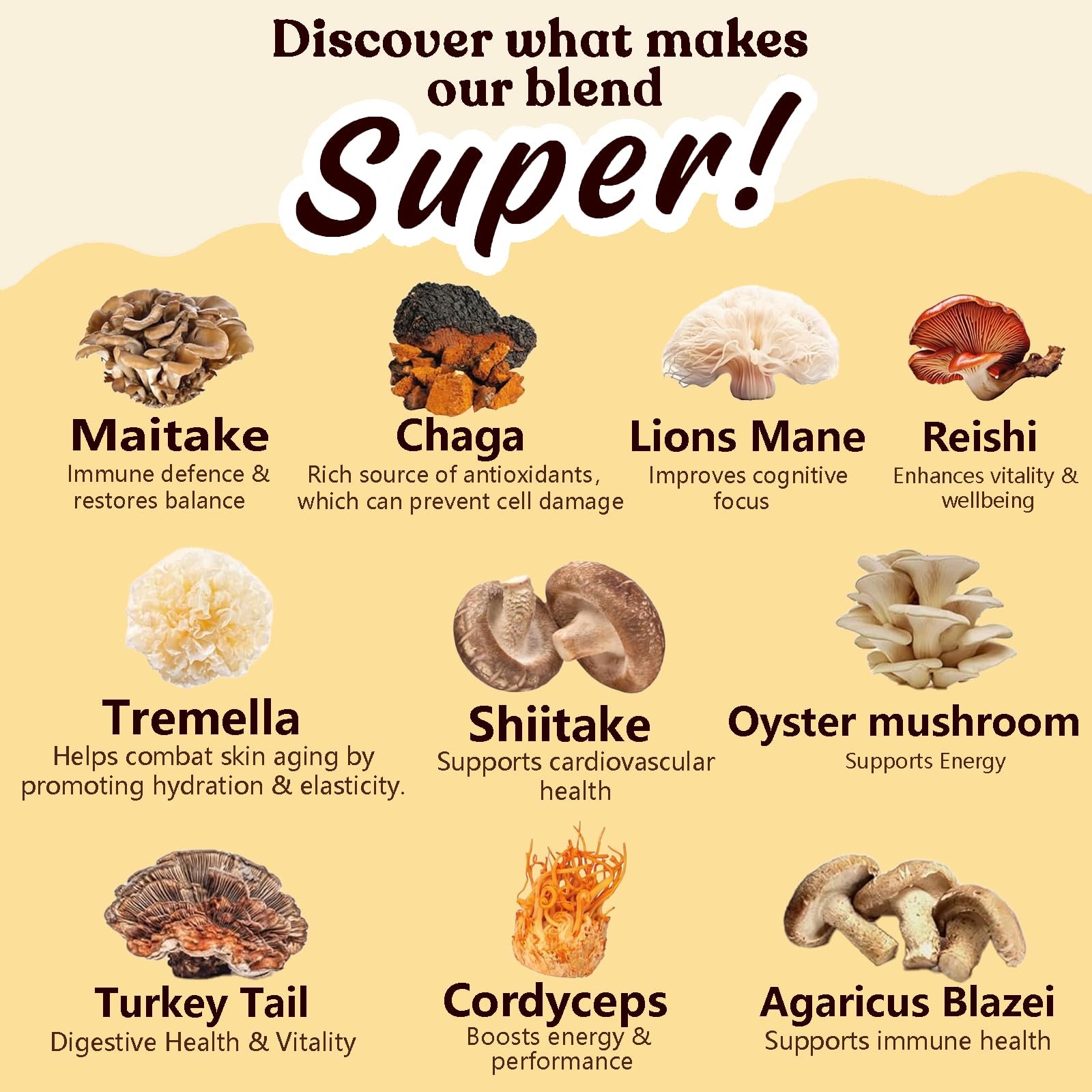 Close-up of ten mushroom ingredients used in the blend