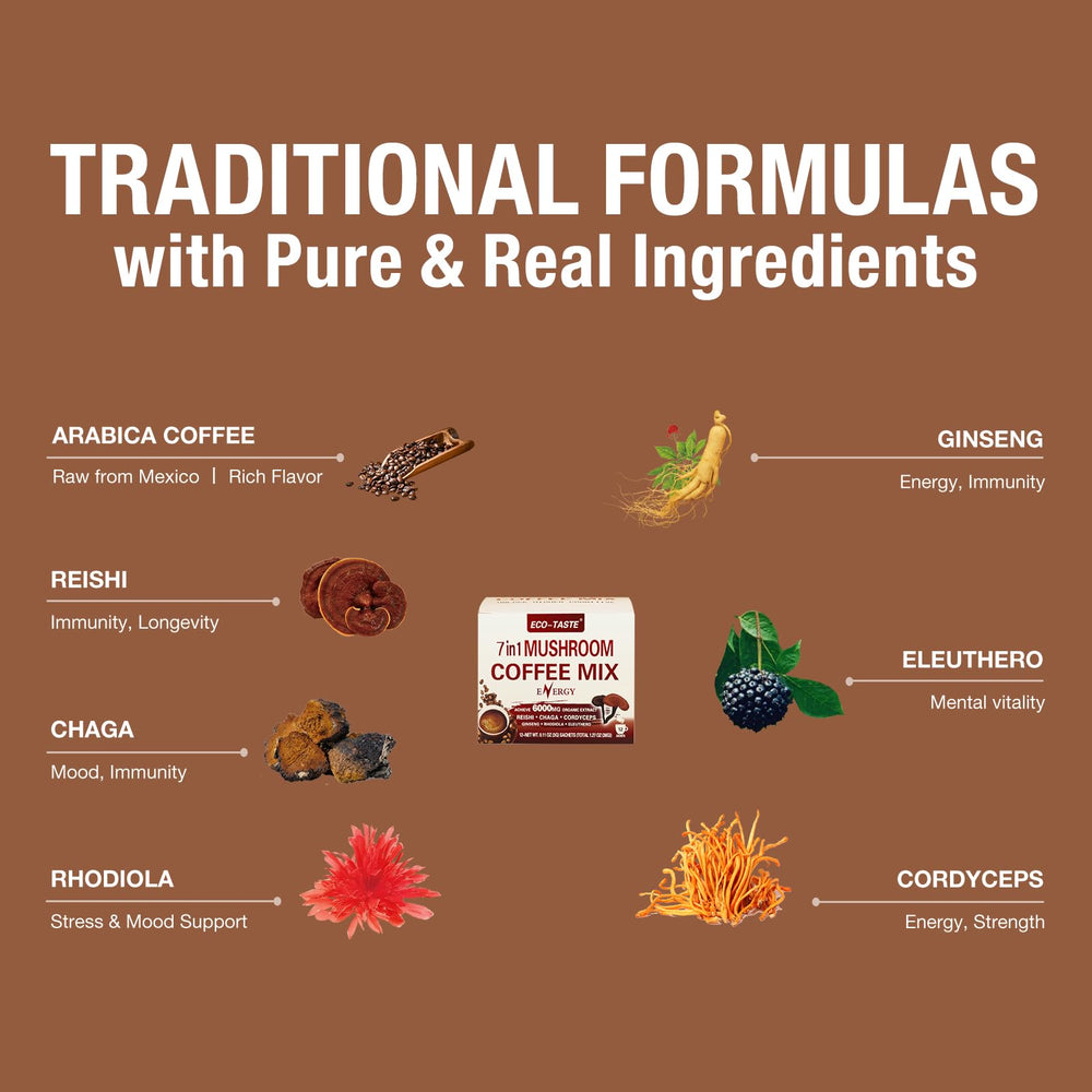Close-up of Reishi, Cordyceps and Chaga mushroom extracts