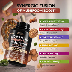 Chaga, Maitake, Shiitake and Meshima mushrooms in capsules