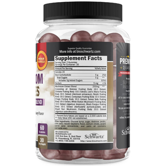 10 functional mushrooms included in the blend