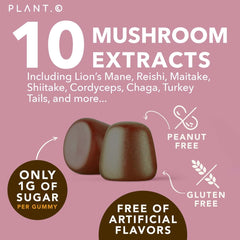 Close-up of Raspberry-flavored Lion's Mane and Reishi gummies