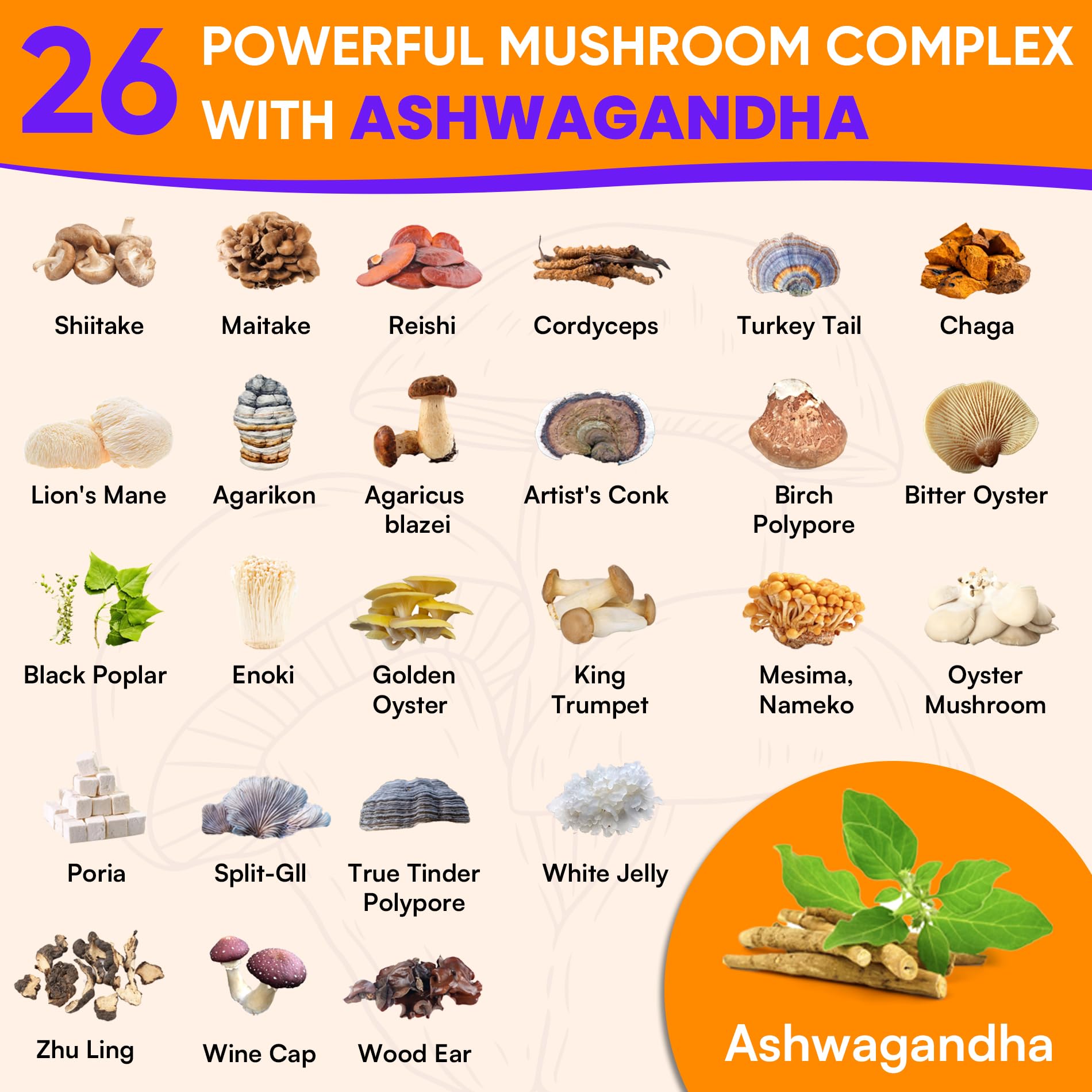 Ashwagandha and Lion's Mane mushrooms in the blend