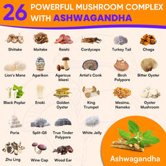 Ashwagandha and Lion's Mane mushrooms in the blend