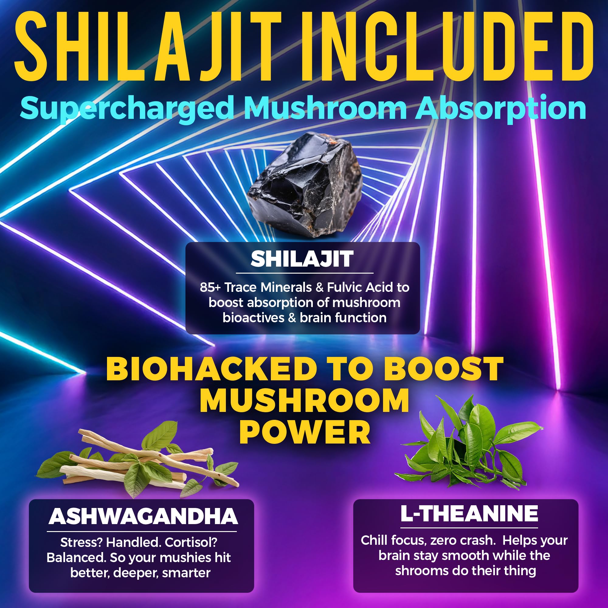 Organic Shilajit supplement beside mushroom nootropic ingredients