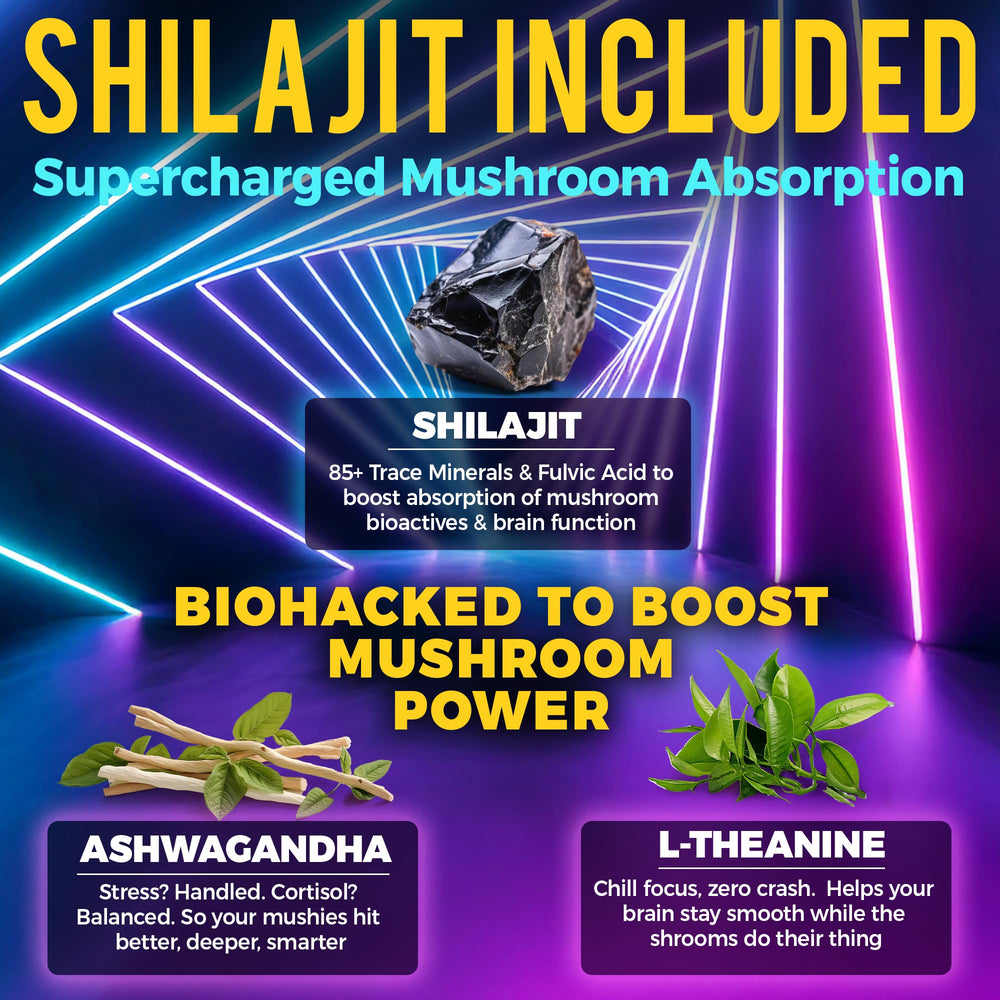 Organic Shilajit supplement beside mushroom nootropic ingredients