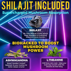 Organic Shilajit supplement beside mushroom nootropic ingredients