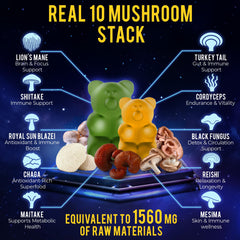 Close-up of 10-mushroom blend including Lion’s Mane and Reishi